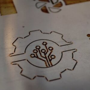IMG_20240626_171323