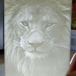 Litofania (8)