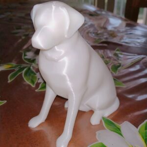 Cane (1)