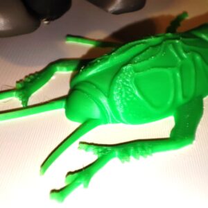 Stampa 3D - Grillo campestre (Biosphaera accessibilità) (3)