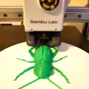 Stampa 3D - Grillo campestre (Biosphaera accessibilità) (4)
