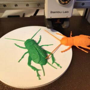 Stampa 3D - Grillo campestre (Biosphaera accessibilità) (7)