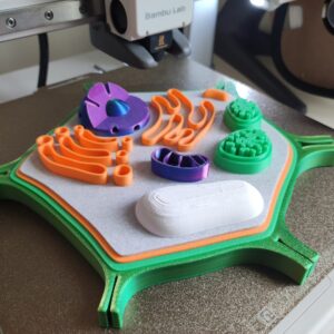 stampa3d_cellulaVegetale